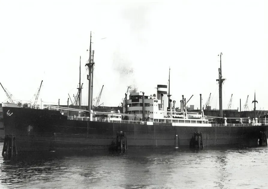 11 (2).jpg?format=webp