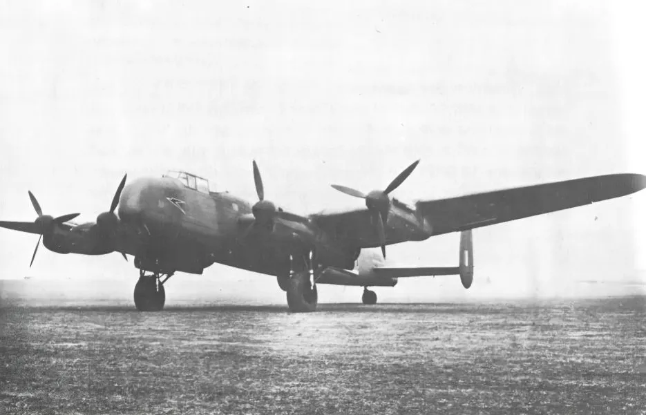 14 (3).jpg?format=webp