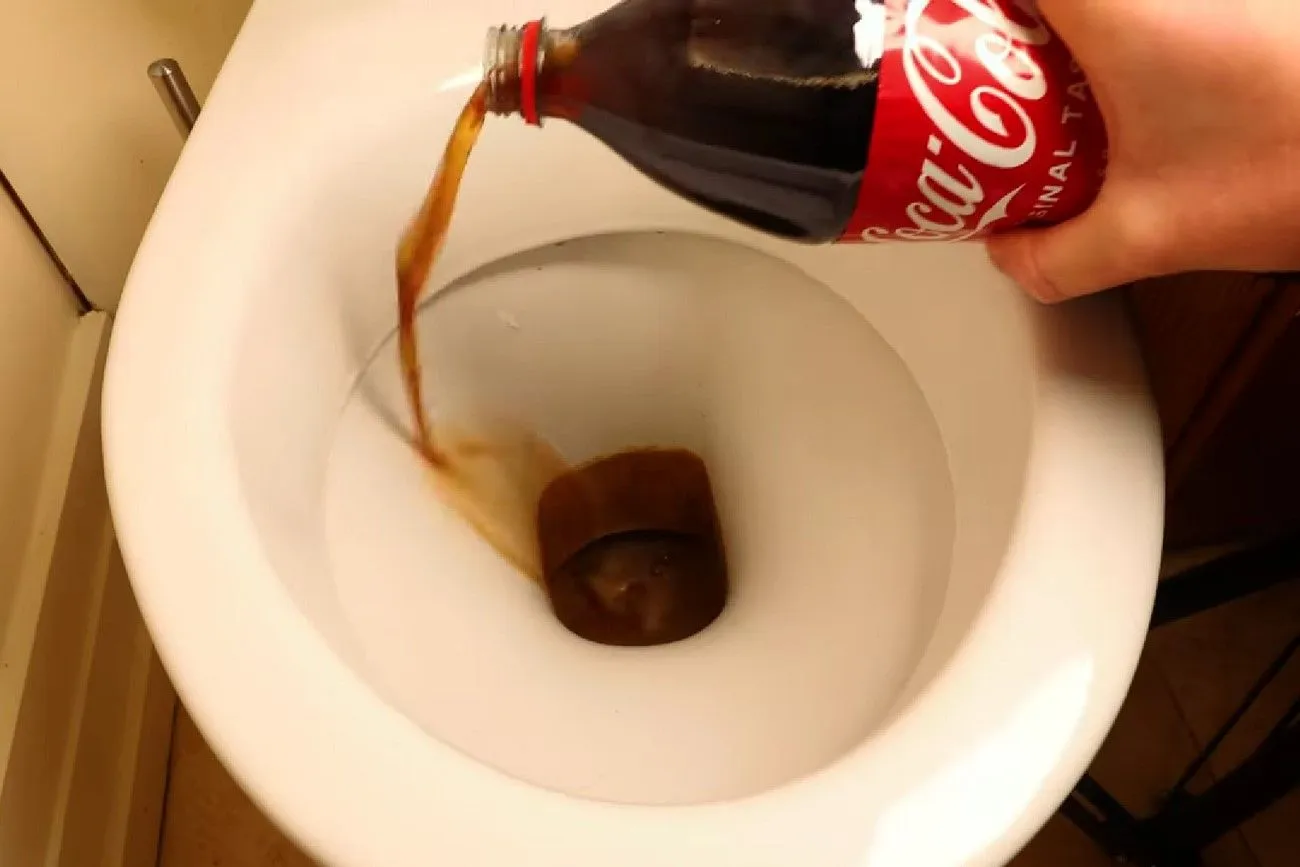 18. A little toilet cola .jpg?format=webp