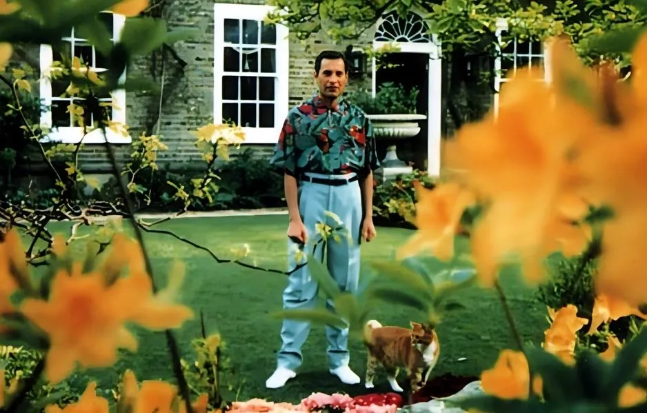 1 (9).jpg?format=webp