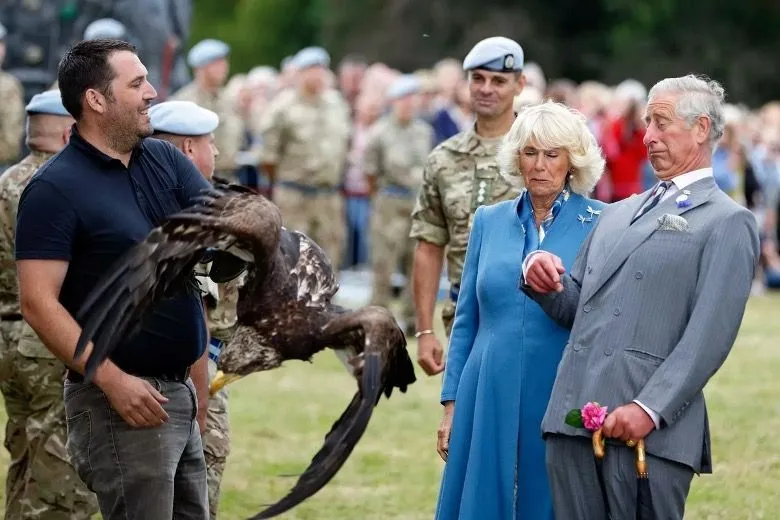 1. A Friendly Eagle.jpg?format=webp