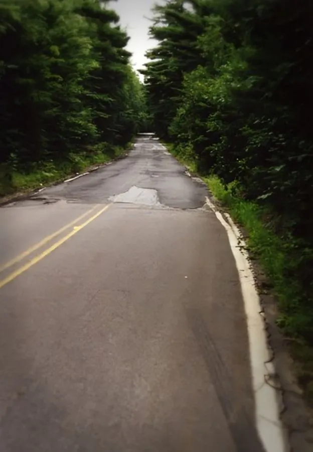 29 (1).jpg?format=webp