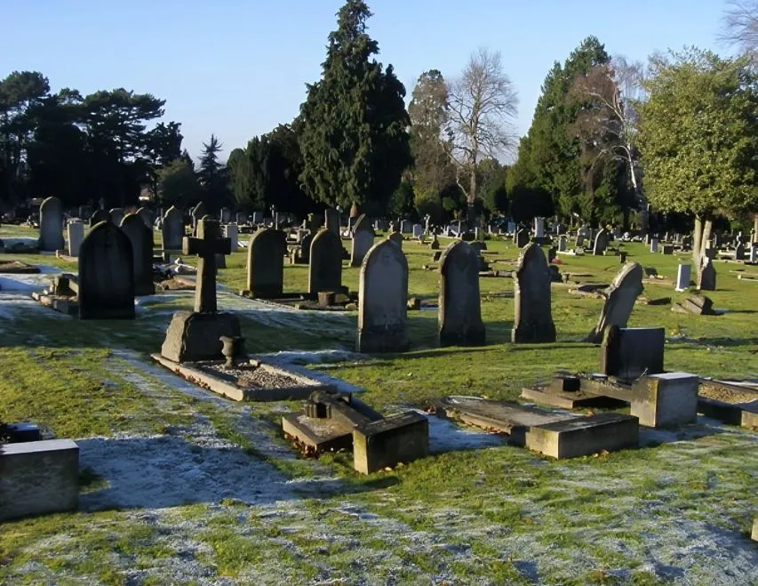 30 (1).jpg?format=webp