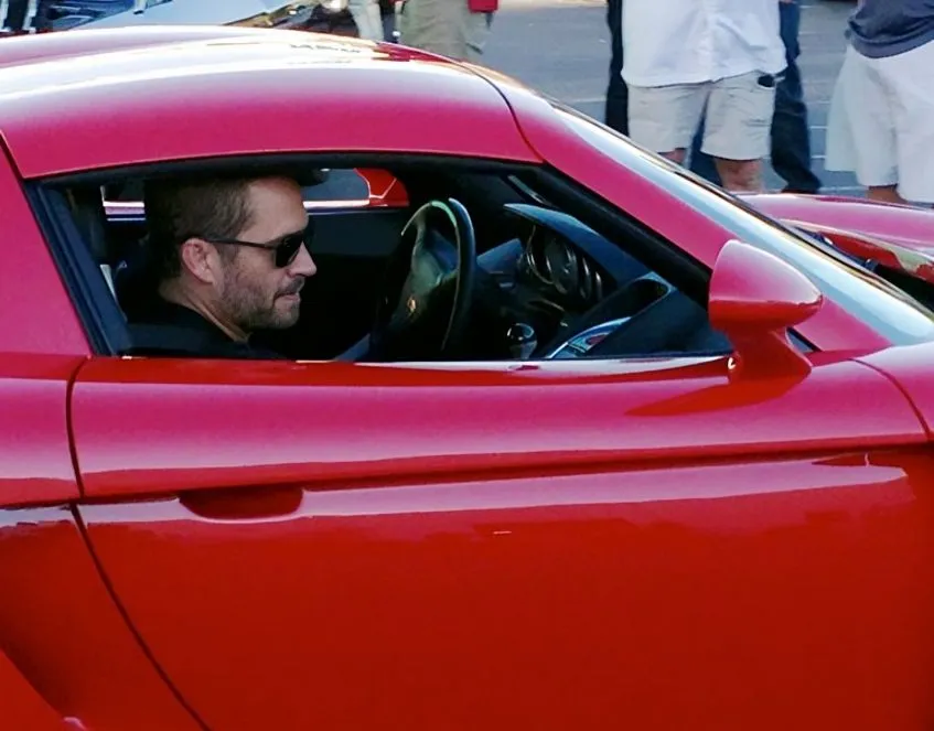 33 (1).jpg?format=webp