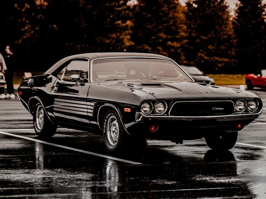 33 (1).jpg?format=webp