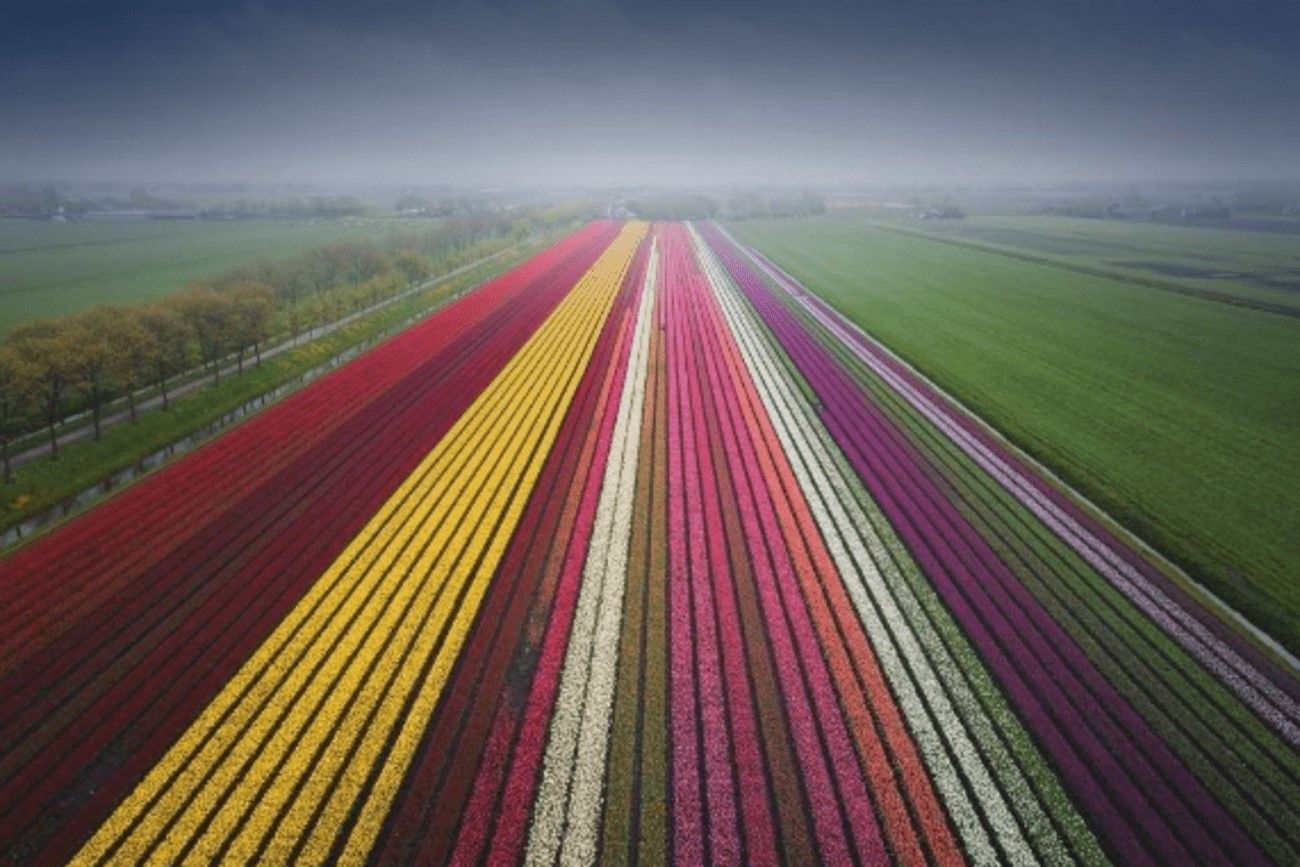 40. Colorful fields.jpg