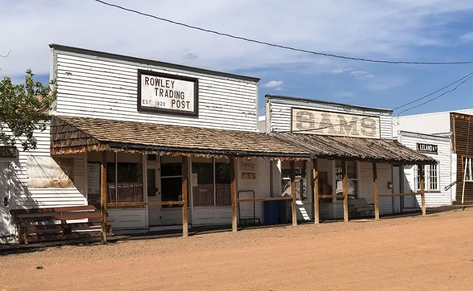 41 (1).jpg?format=webp