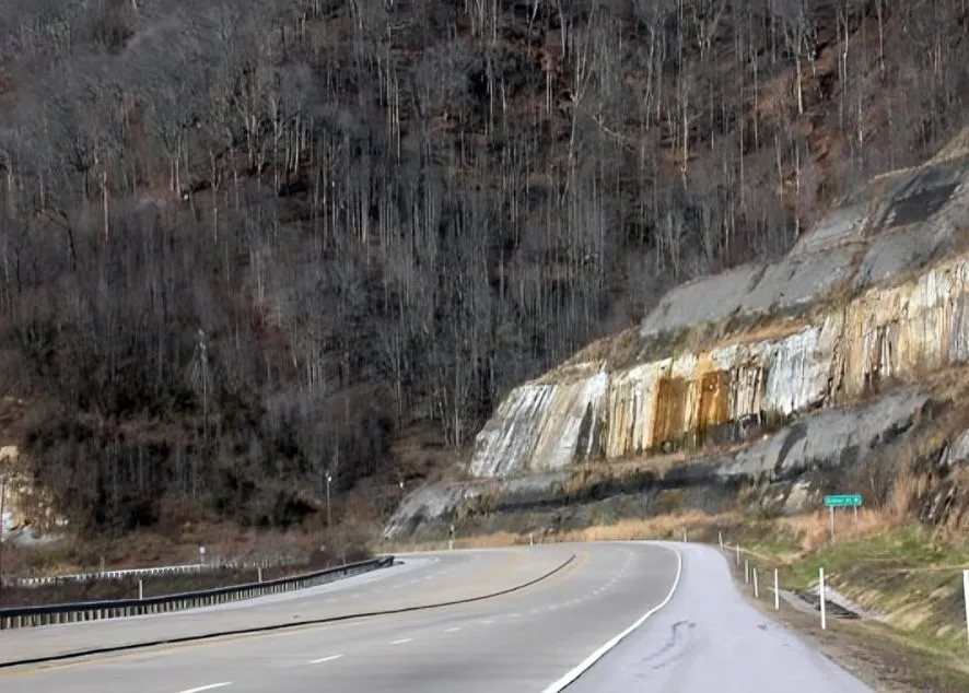 42 (1).jpg?format=webp