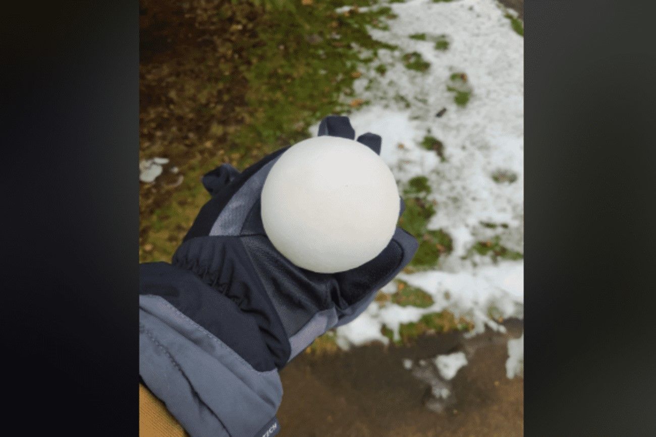 42. Perfect snowball.jpg