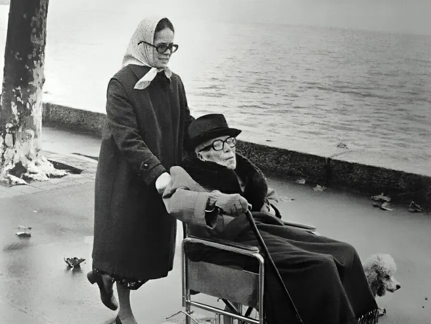 54 (1).jpg?format=webp