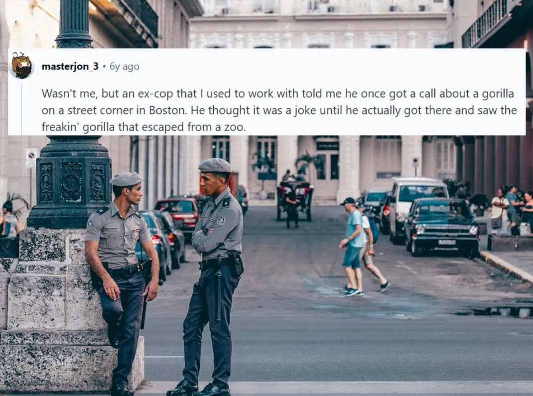 8.jpg?format=webp