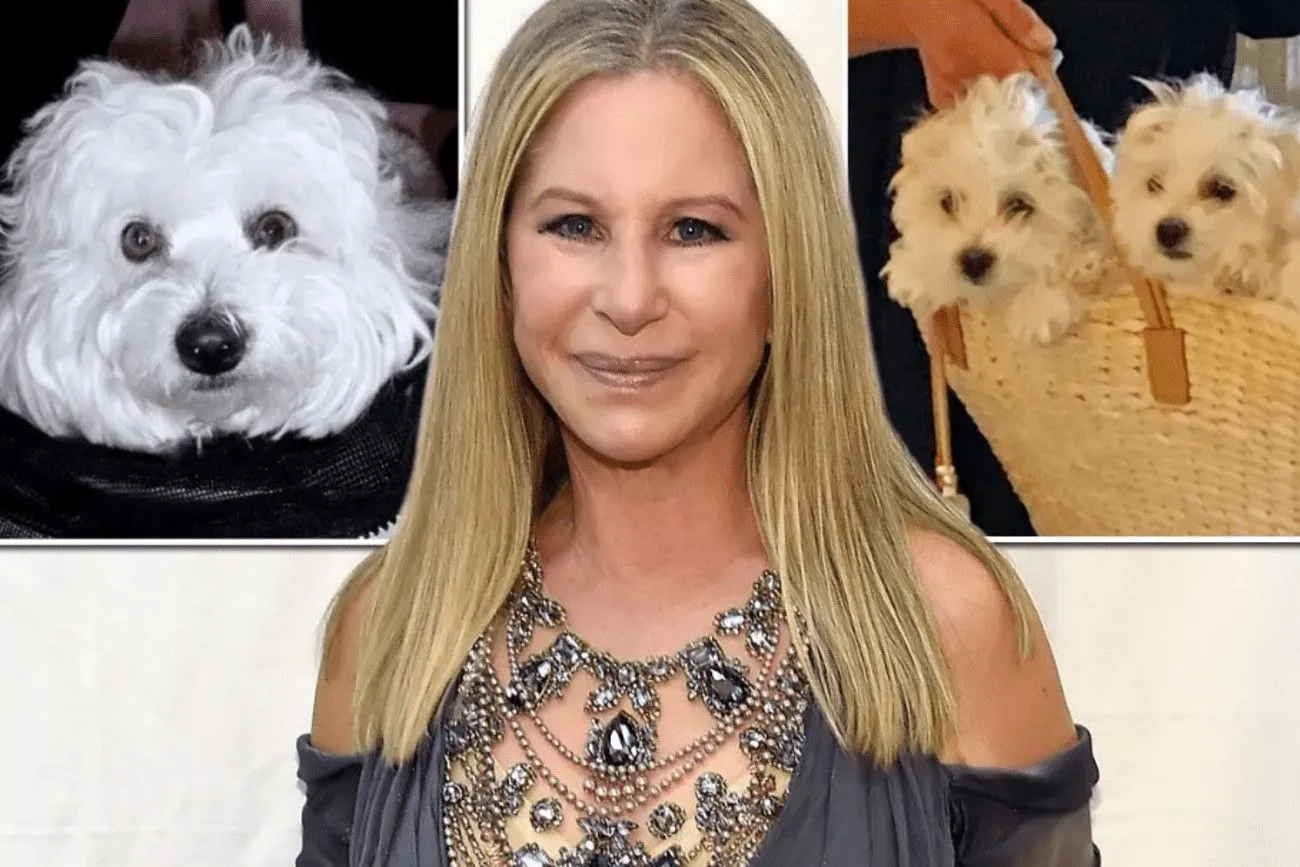Barbra Streisand cloned her deceased dog.jpg?format=webp