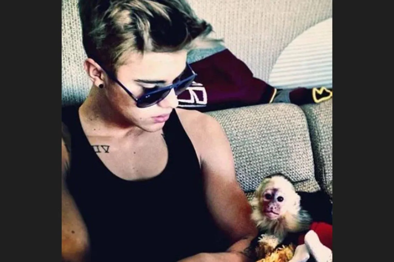 Bieber arrived on tour with a...monkey!.jpg?format=webp