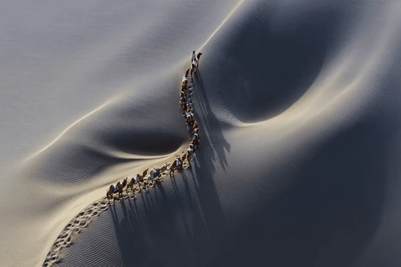 Camels on the dunes.jpg
