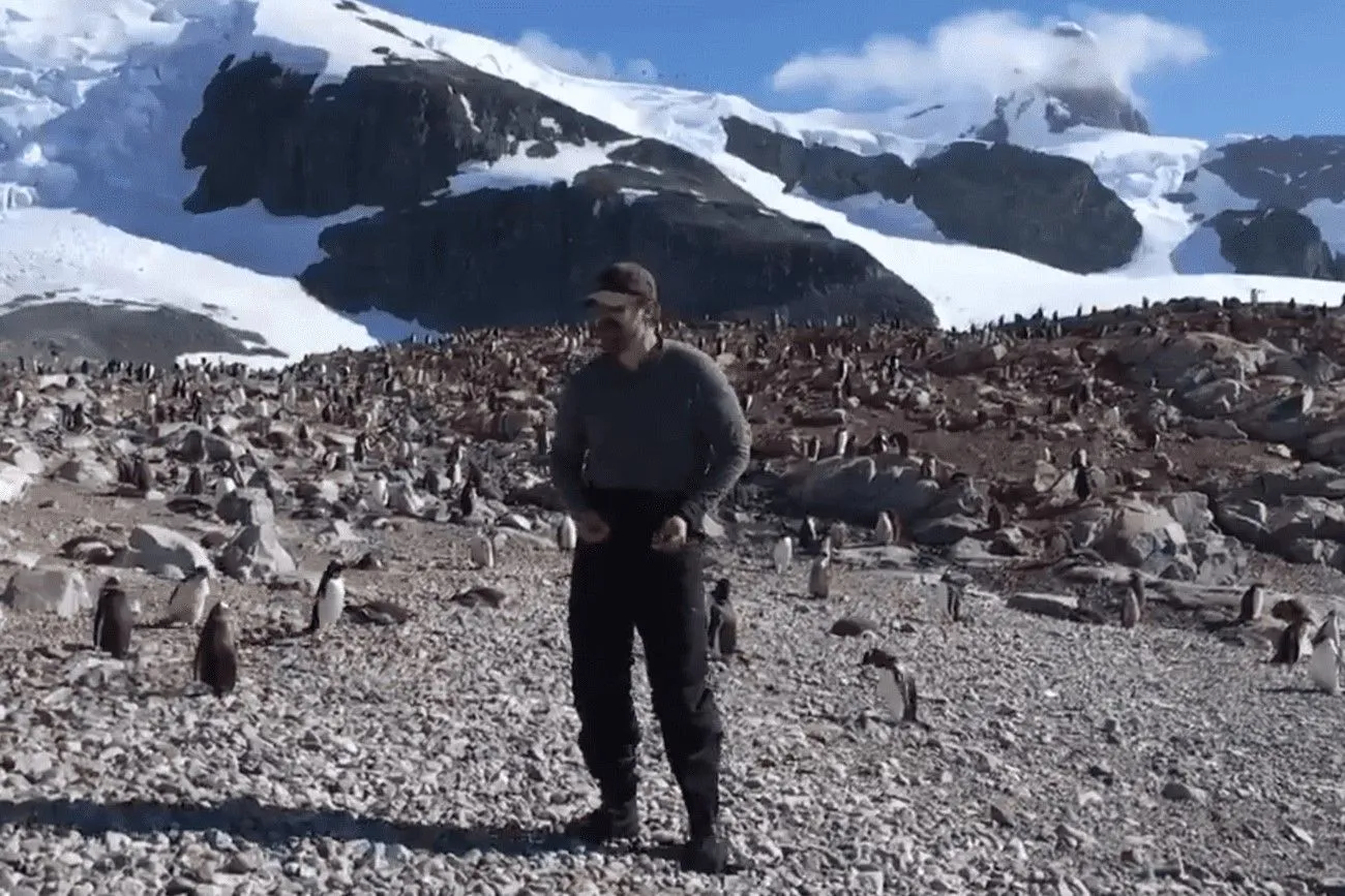 David Harbour went to Antarctica to...dance with penguins!.jpg?format=webp