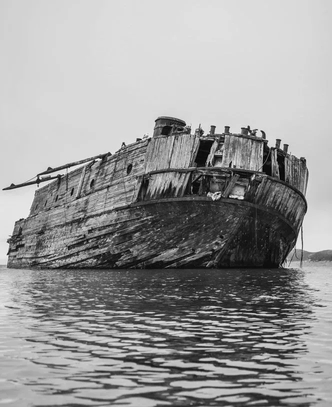 Screenshot_3.jpg?format=webp