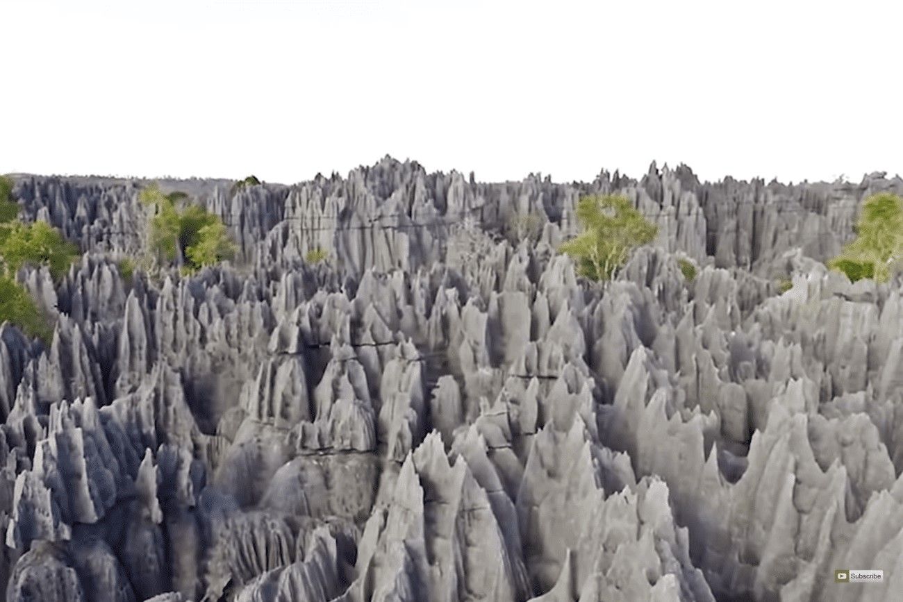 Stone forest in Madagascar.jpg