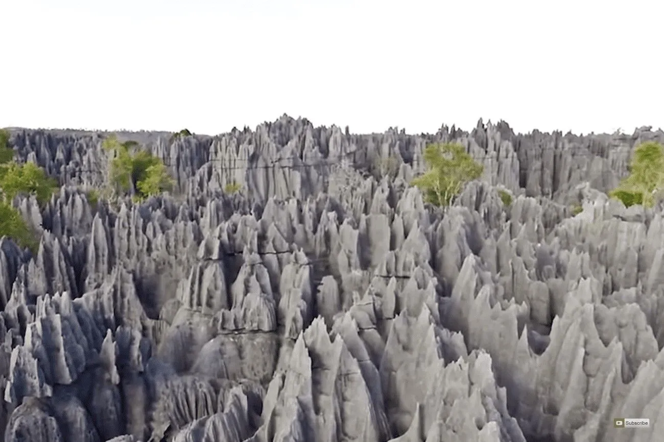 Stone forest in Madagascar.jpg?format=webp