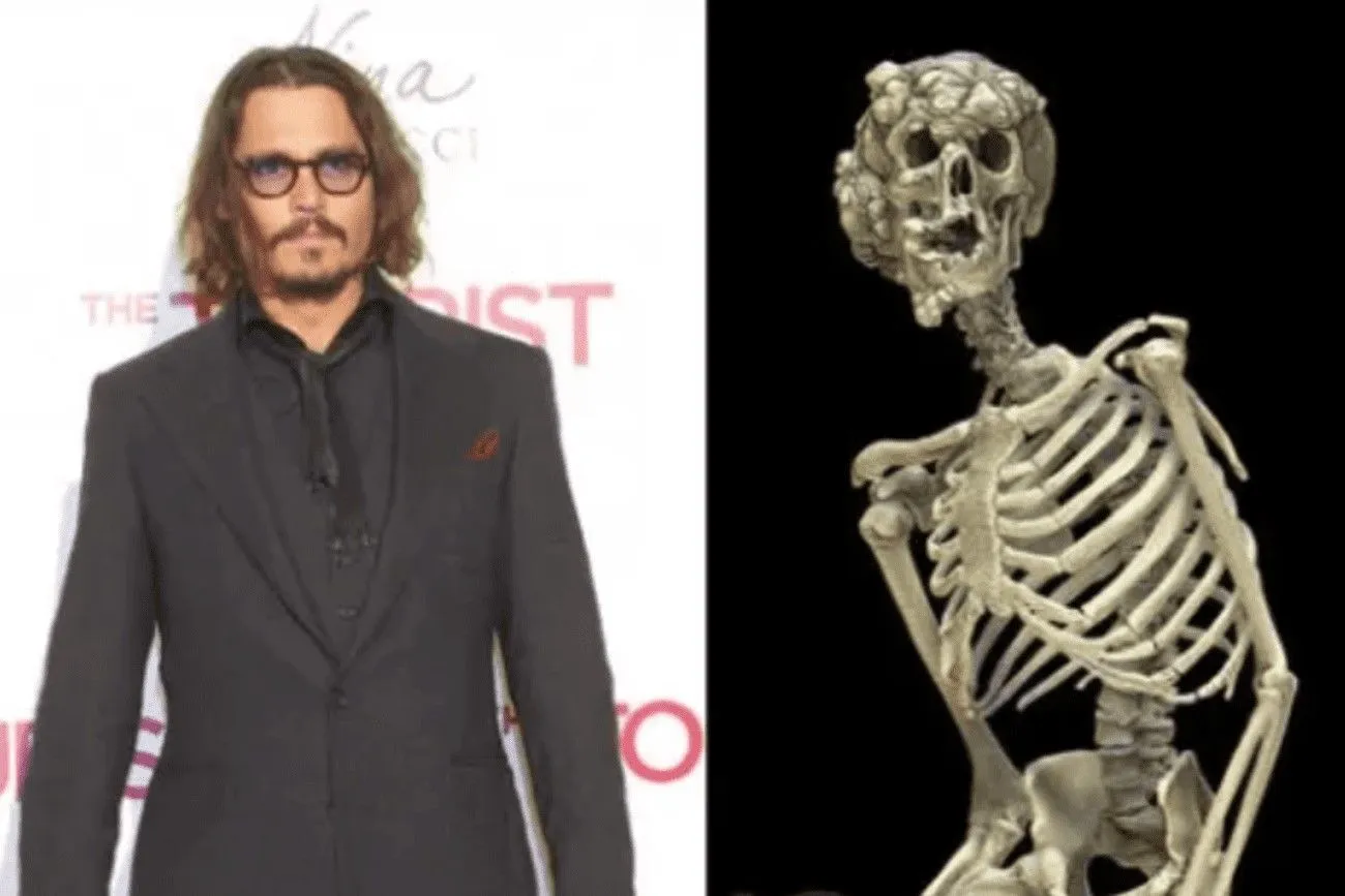The collection of Johnny Depp is frightening - you can even find real skeletons there!.jpg?format=webp