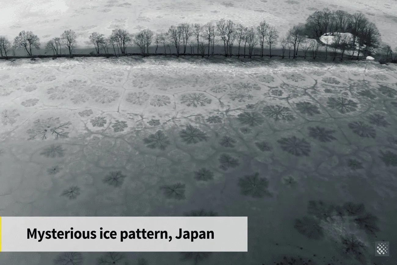 Wonderful patterns on the ice.jpg?format=webp